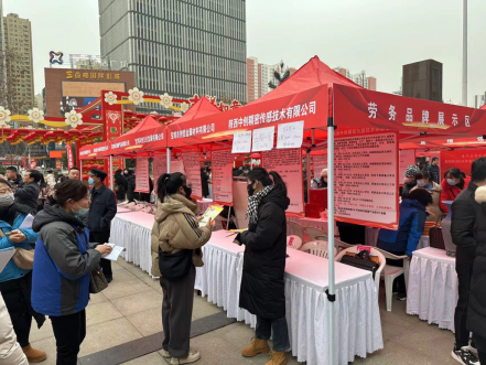 春风行动看金台丨“百日行动”招聘洽谈会首日达成就业意向近千人(图3)
