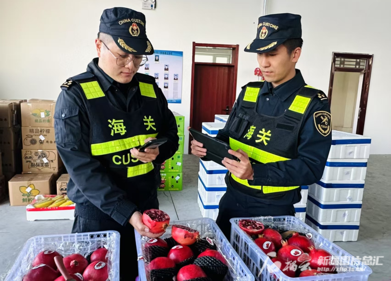 新疆外贸缘何逆势上扬(图3)