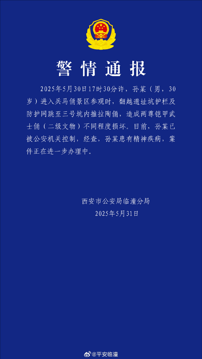 必赢Bwin：【8点见】男子跳入兵马俑坑推倒兵马俑通报(图3)