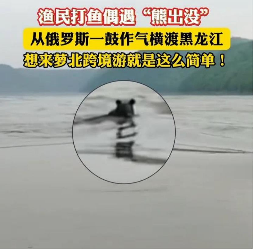 必赢Bwin：【8点见】男子跳入兵马俑坑推倒兵马俑通报(图6)