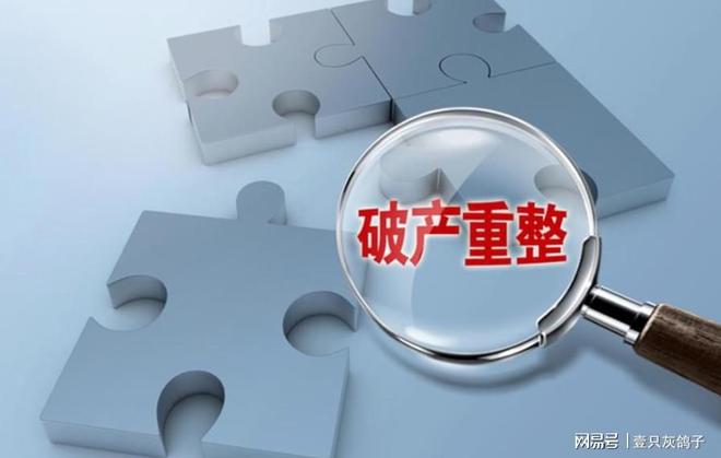 国产之光被玩崩了！法院下达决定书女创始人认输退场(图3)