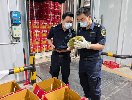 必赢Bwin国际：坐着动车去老挝：一千公里与无数张笑脸(图3)